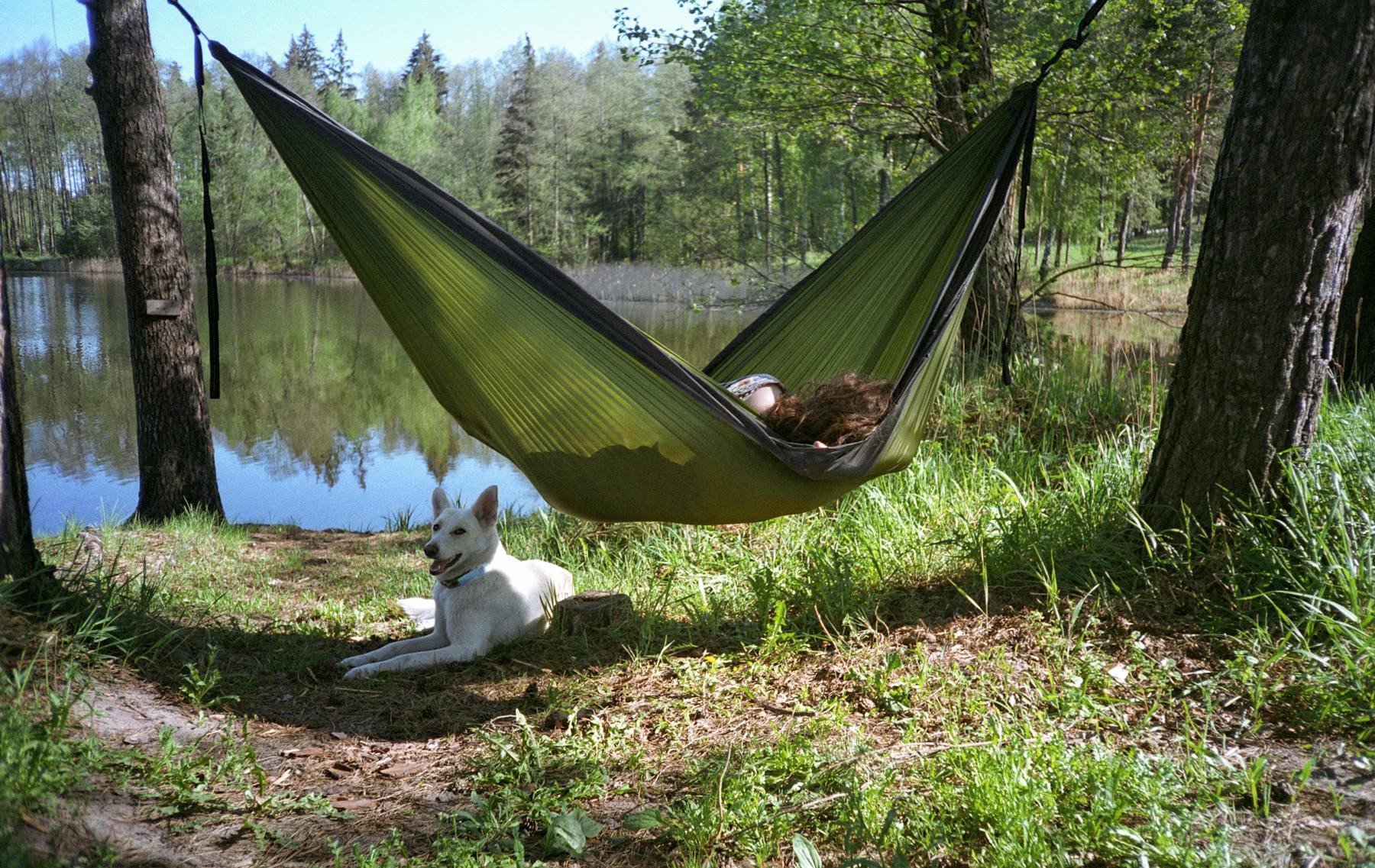Slow living a Mecsek alatt — lassú nyár Pécs-Baranyában