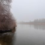 Tisza Párt: minden forint elköltve a kampányban