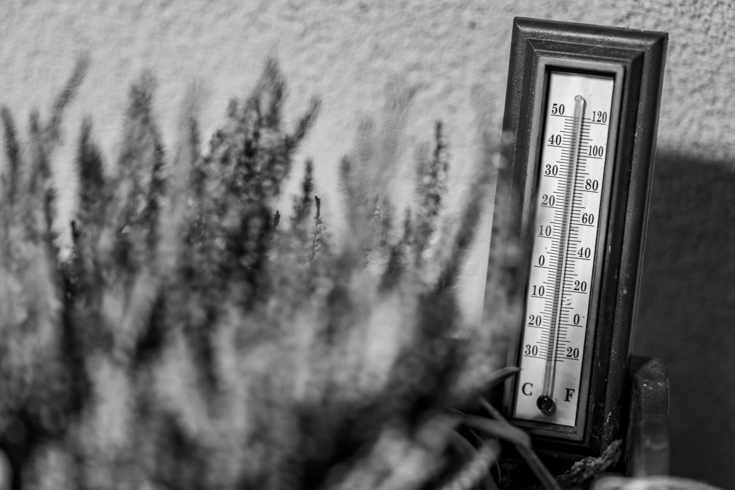 Hőségriadó: 37 fokig kúszhat a hőmérő, a miniszter is