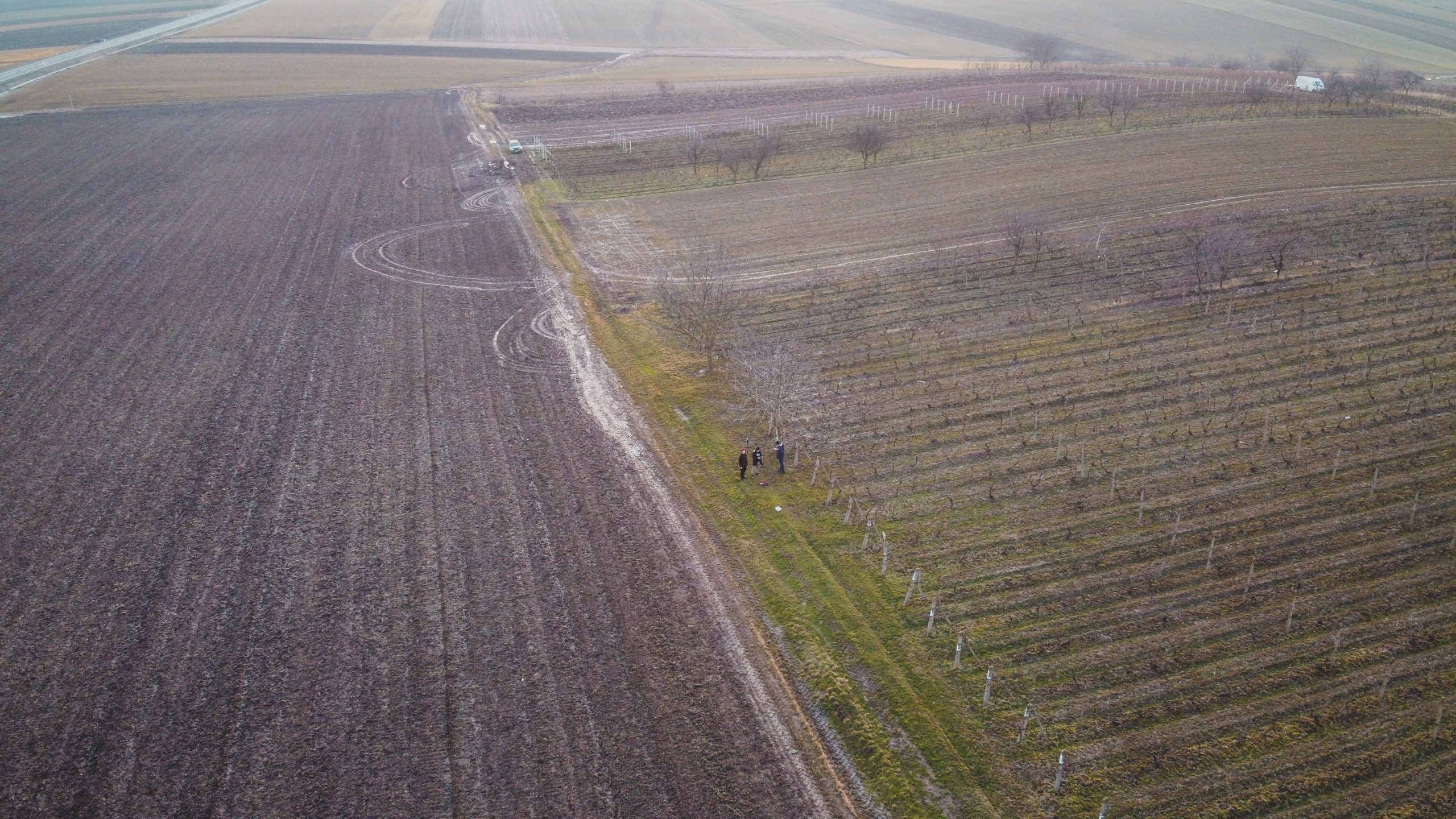 Vojvodina várja a Fradit: „99%-osan készen állunk”
